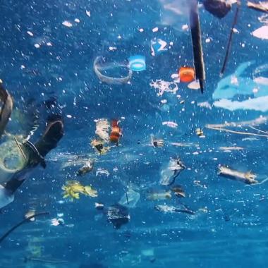 Voir la vidéo de Non, les déchets plastiques ne disparaissent pas dans les océans !