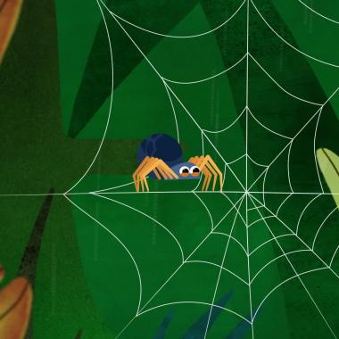 Voir la vidéo de La toile d’araignée, à toute épreuve