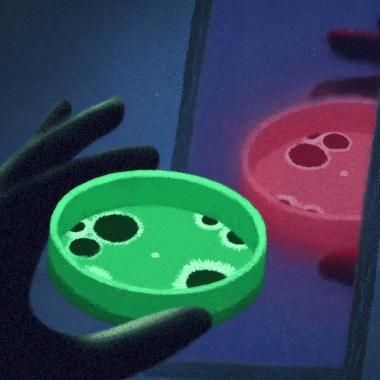 Voir la vidéo de Bactérie miroir, faut-il en avoir peur ?