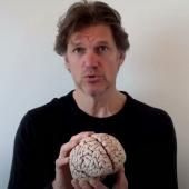 Voir la vidéo de Steven Laureys : « la vie est indéfinissable »