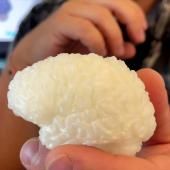 Voir la vidéo de Recréer le cerveau des hommes préhistoriques