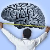 Voir la vidéo de Mesurer l’intelligence humaine